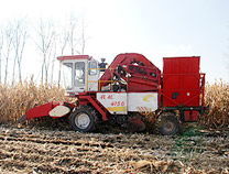 Self-propelled Corn Harvester