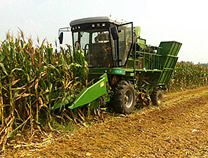 Corn Harvester (Corn Combine).