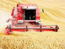 Combine Harvester